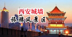 美女吃着大鸡巴操逼中国陕西-西安城墙旅游风景区