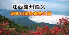 操美女射入